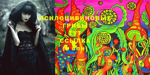 apvp Саяногорск