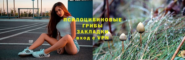СК Сатка