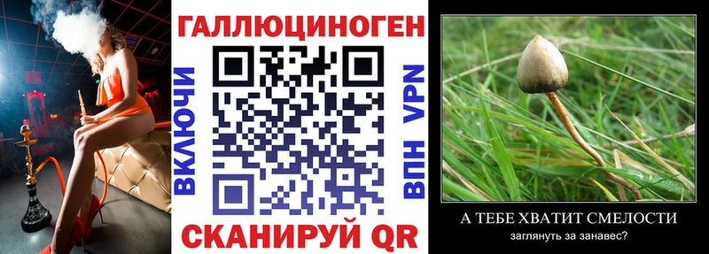 купить закладку  Шахунья  Галлюциногенные грибы мухоморы 